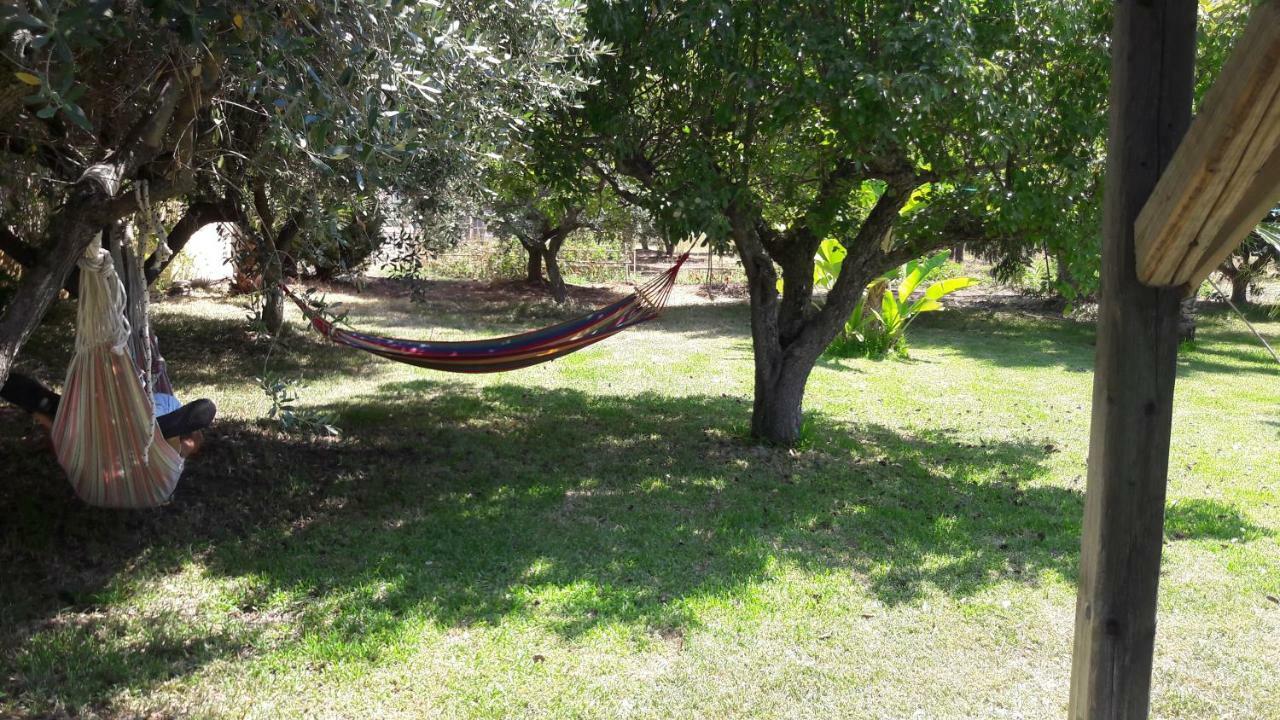 Villa Kampia Capo Vaticano Esterno foto